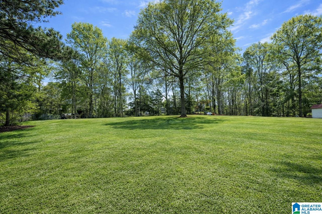 359 Arrowhead Drive Riverside, AL 35135 - Photo 3 of 38