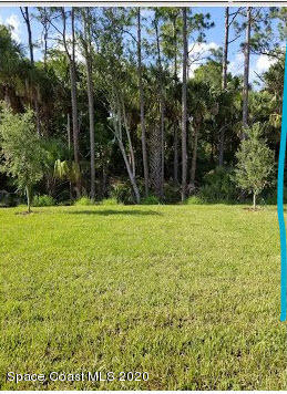868 Corbin Circle Southwest Palm Bay, FL 32908 - Photo 7 of 15 Back view Prado B Lot 32A