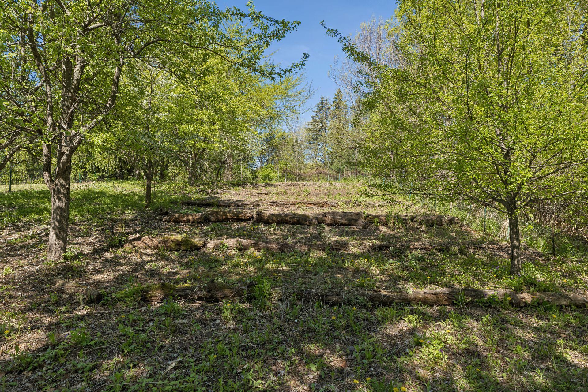 5900 X Zehnder Road Sunfish Lake, MN 55077 - Photo 9 of 27