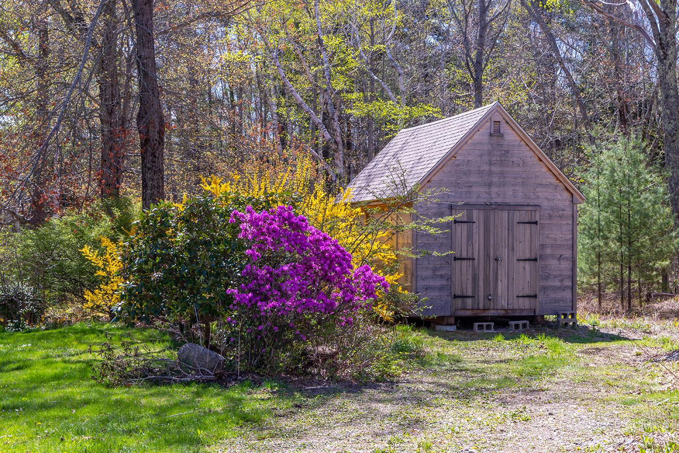 305 Howe Hill Road Camden, ME 04843 - Photo 4 of 34 IMG_3418