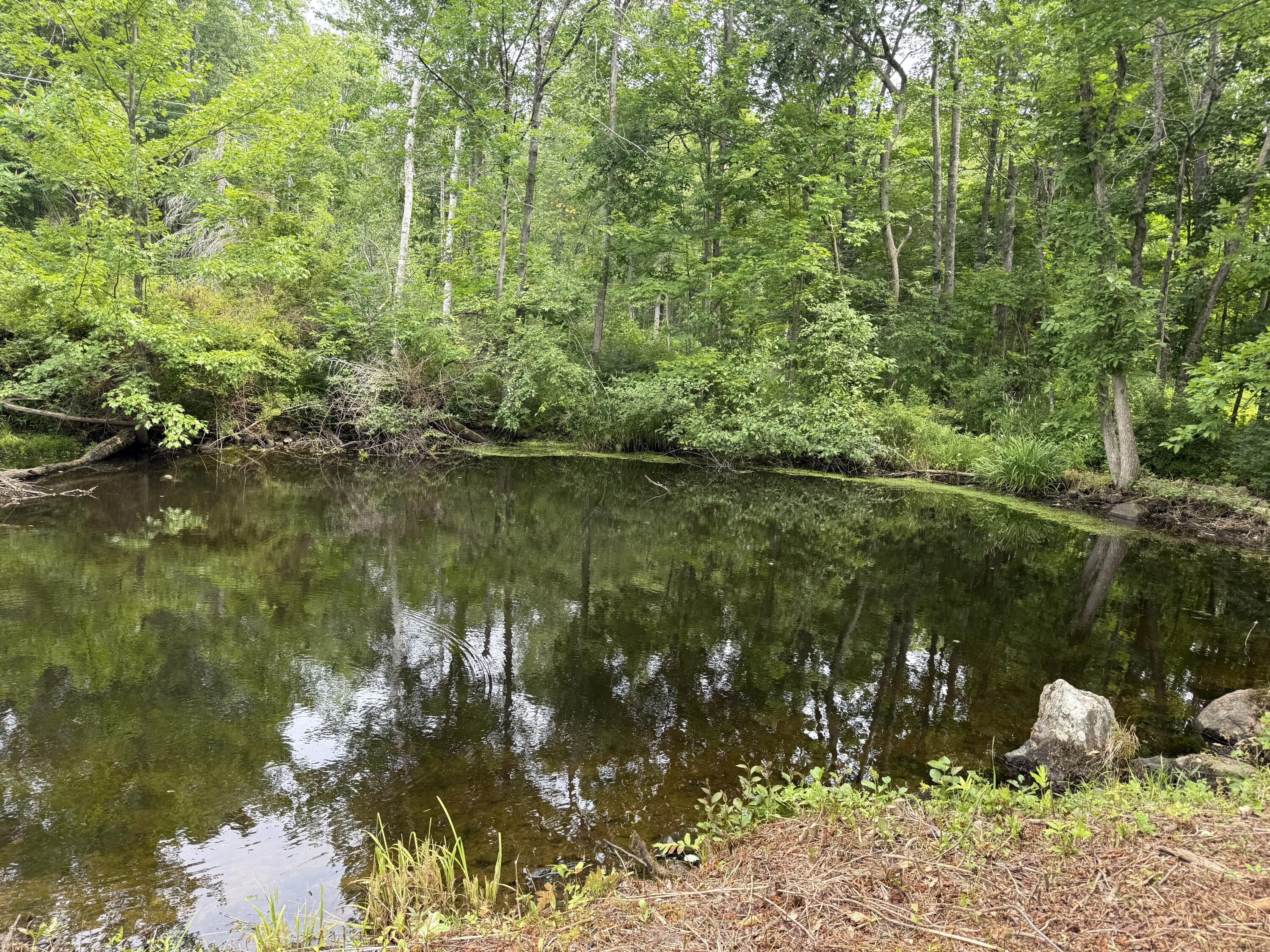 254 Sunset Road Sanford, ME 04083 - Photo 41 of 44 IMG_8626