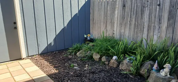 a backyard view of the house
