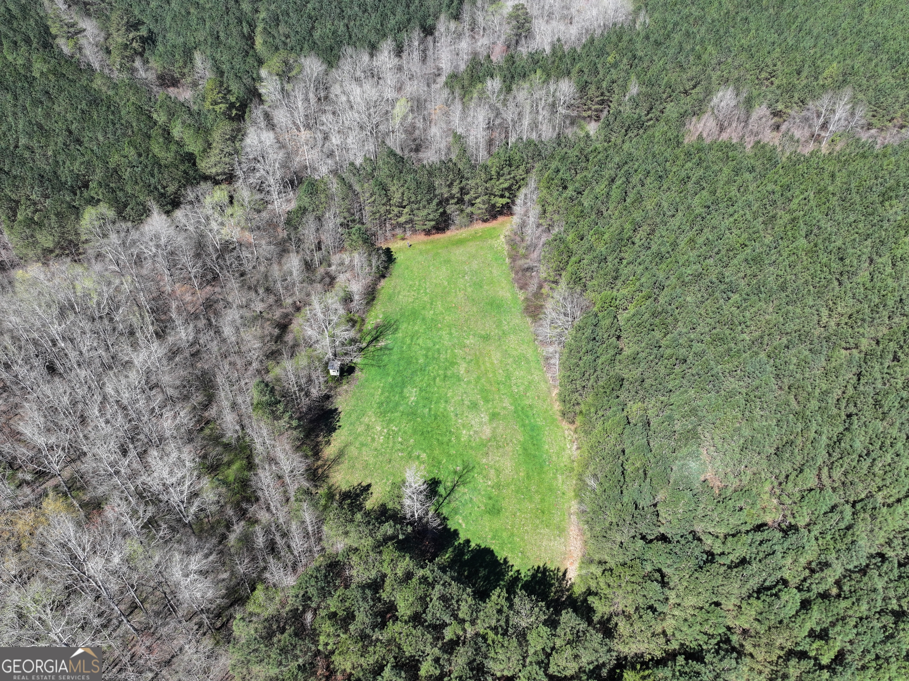 257 Acres On Ridgeway Road Franklin, GA 30217 - Photo 4 of 28