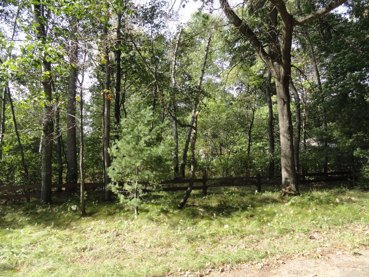 Lot 8 Kaufman Road Tomahawk, WI 54487 - Photo 10 of 13 Gallery Image 10