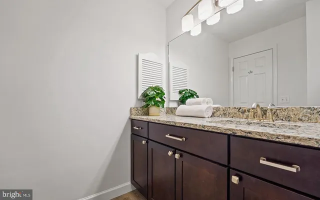 a bathroom with a granite countertop sink a mirror and a potted plant