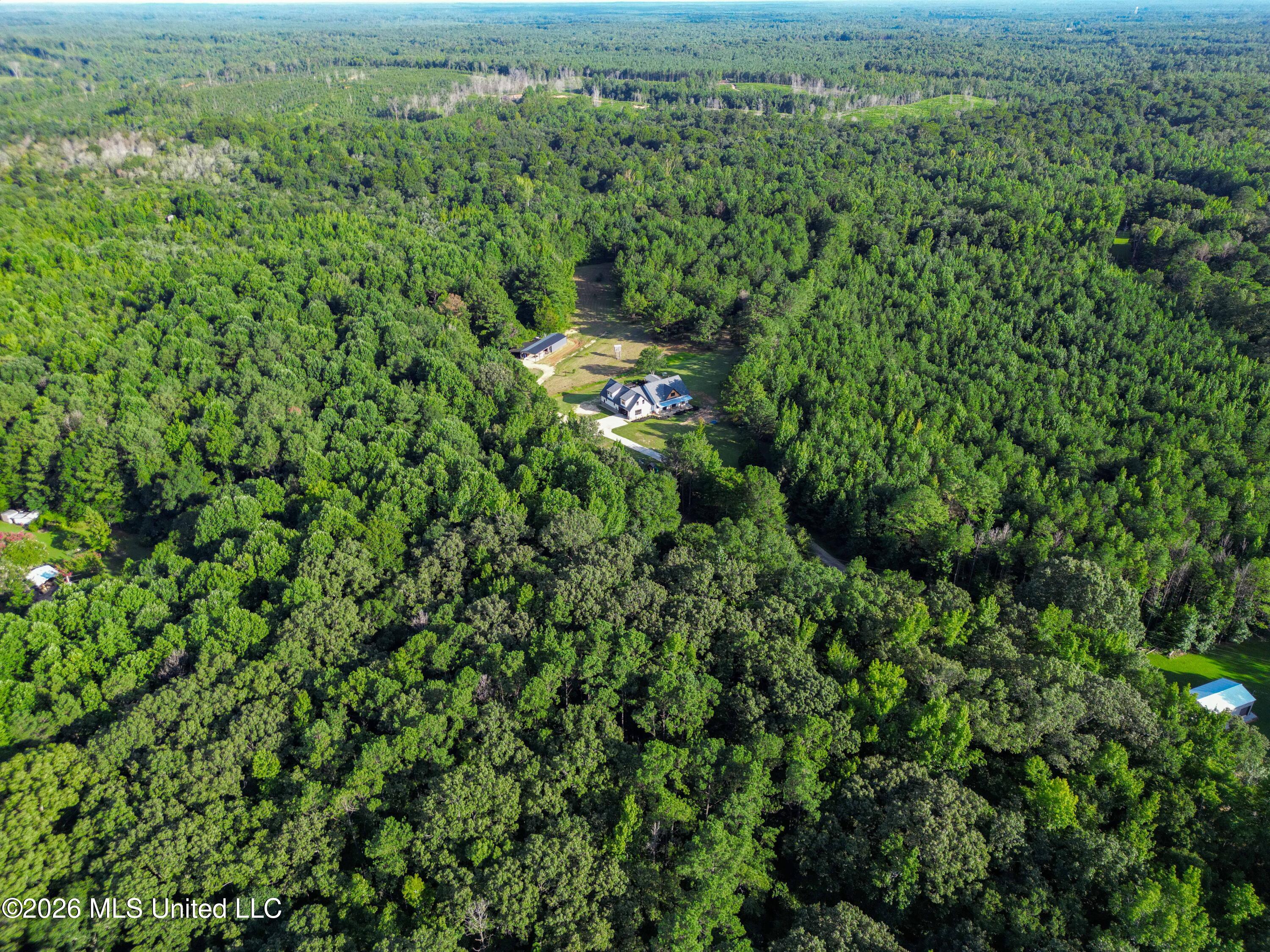50378 South Harmony Road Amory, MS 38821 - Photo 49 of 50 49) 74461-6a6a0b1ef04ae