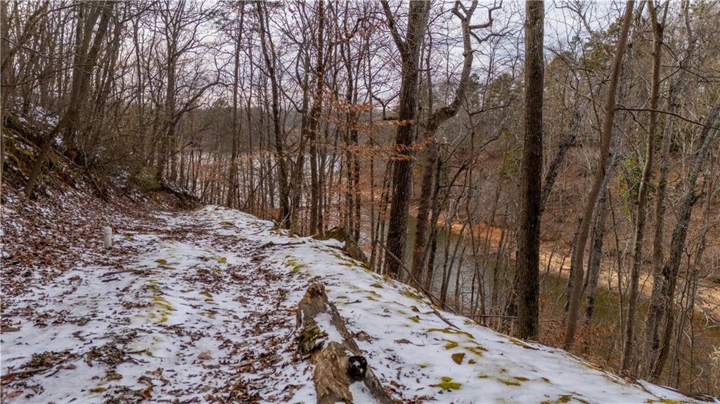 850 Piedmont Rd N West Gainesville, GA 30501 - Photo 4 of 7 a view of a backyard of the house