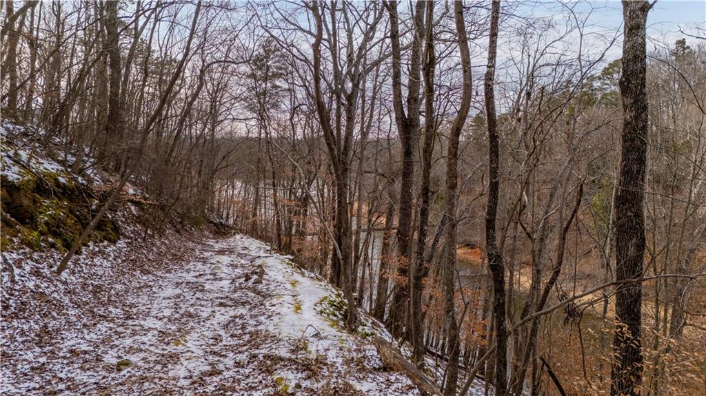 850 Piedmont Rd N West Gainesville, GA 30501 - Photo 6 of 7 a backyard of a house with lots of green space