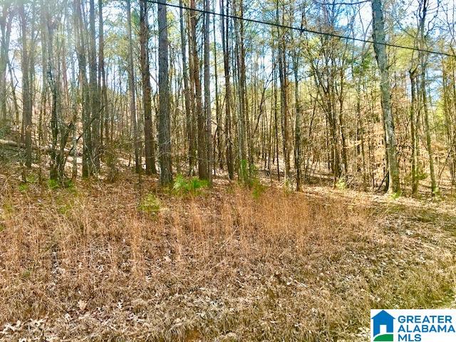 241 Valley Creek Road Piedmont, AL 36272 - Photo 10 of 13
