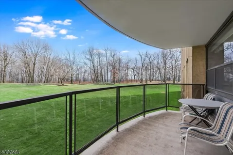 a view of backyard with trampoline