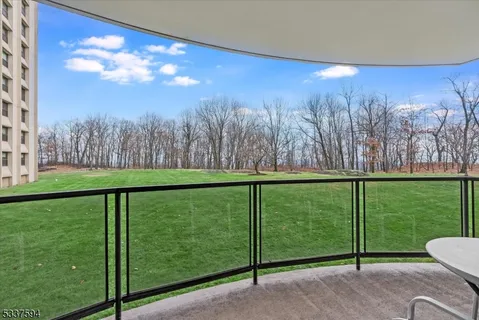 a view of outdoor space with garden