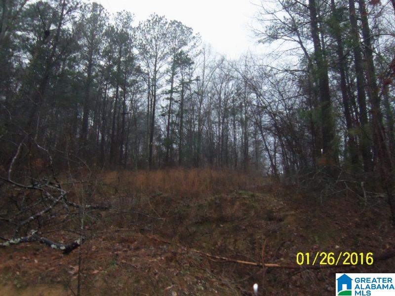 595 Bramlett Road Piedmont, AL 36272 - Photo 2 of 12
