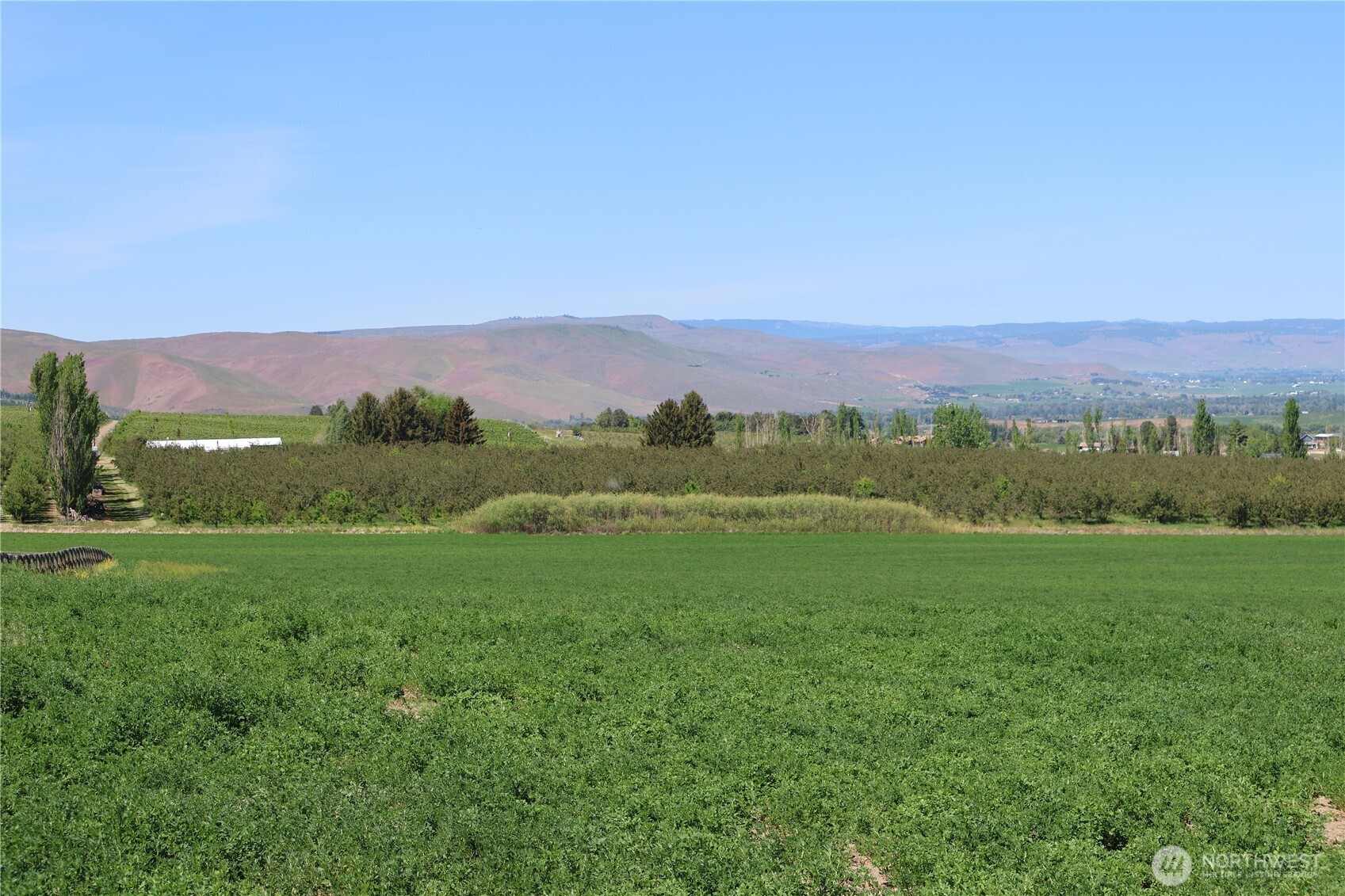 5533 Denmark Road Ellensburg, WA 98926 - Photo 2 of 14