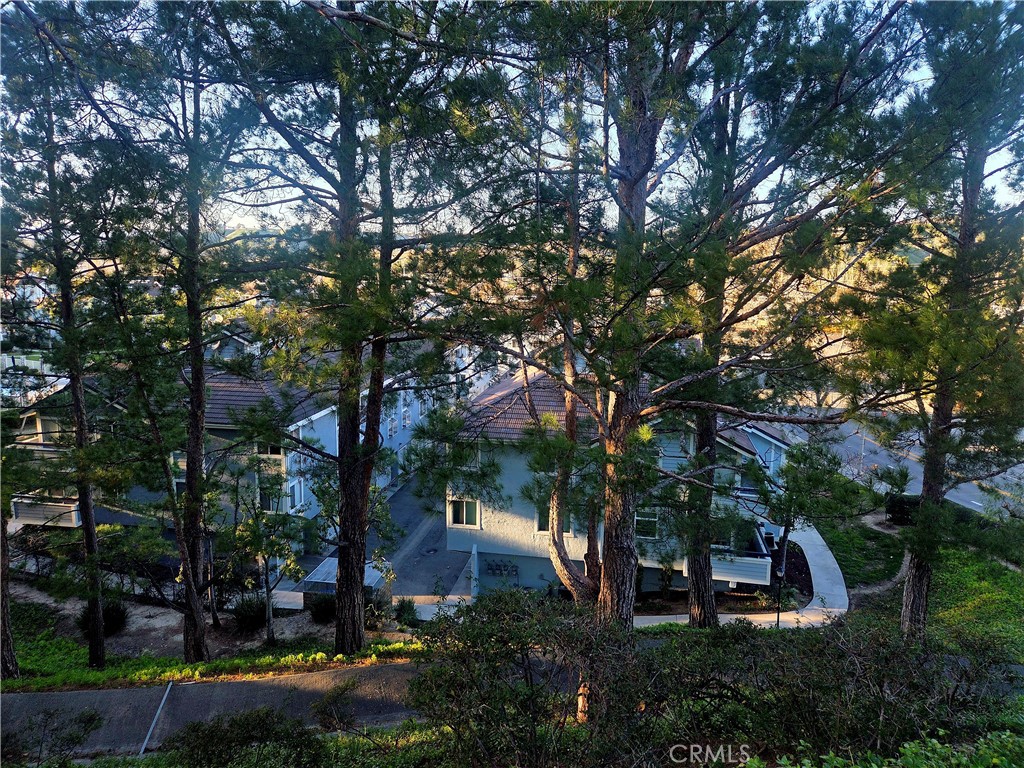 20307 Rue Crevier, Unit 577 Canyon Country, CA 91351 - Photo 13 of 13 The view