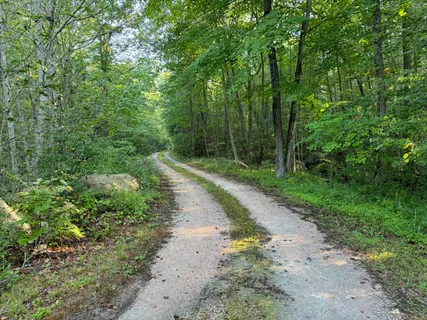 a view of a road with a trees in the background