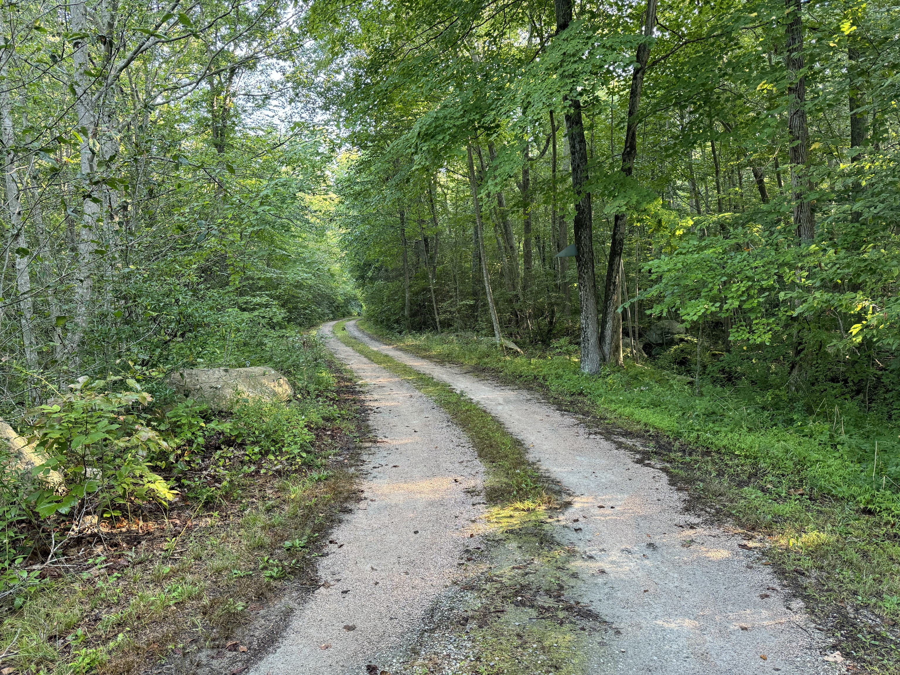 48 A Ironworks Road Clinton, CT 06413 - Photo 1 of 10 a view of a road with a trees in the background