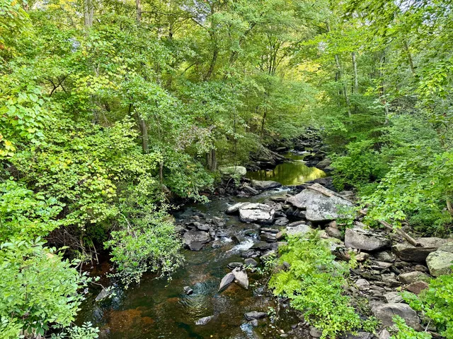 a view of a garden with plants