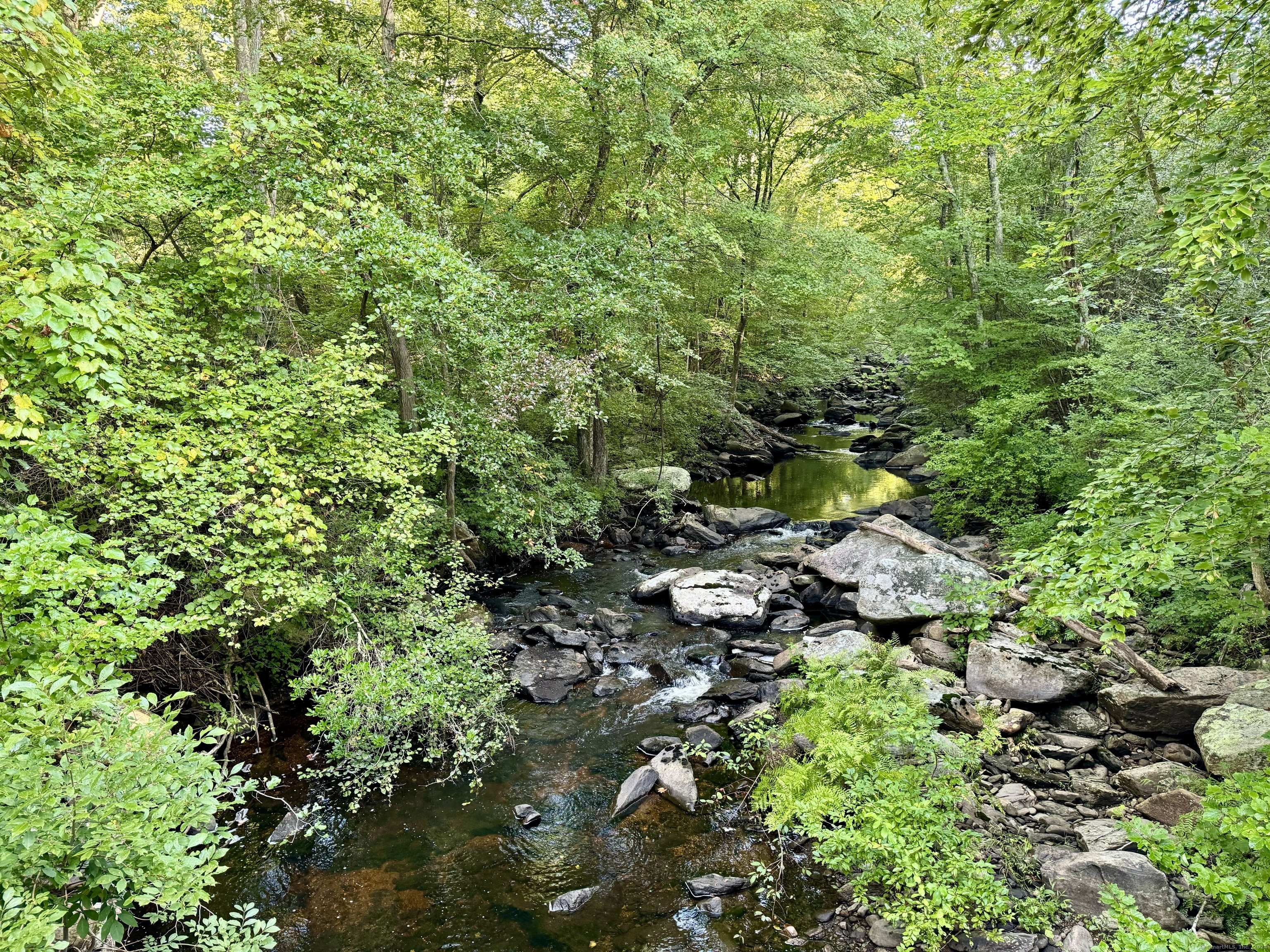 48 A Ironworks Road Clinton, CT 06413 - Photo 4 of 10 a view of a garden with plants