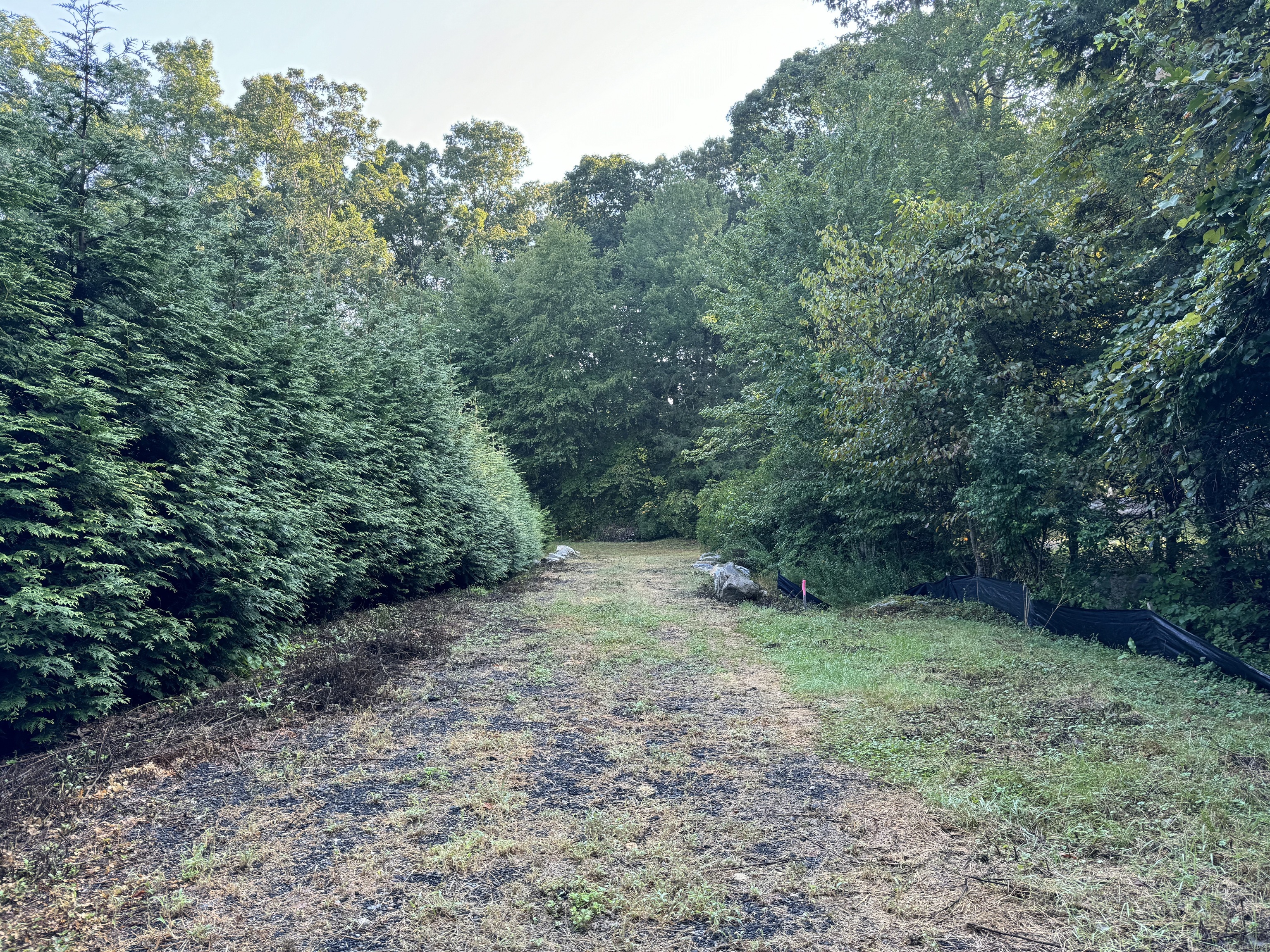 48 A Ironworks Road Clinton, CT 06413 - Photo 6 of 10 a view of a forest with trees in the background