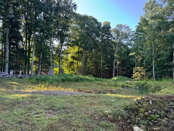 a view of a park