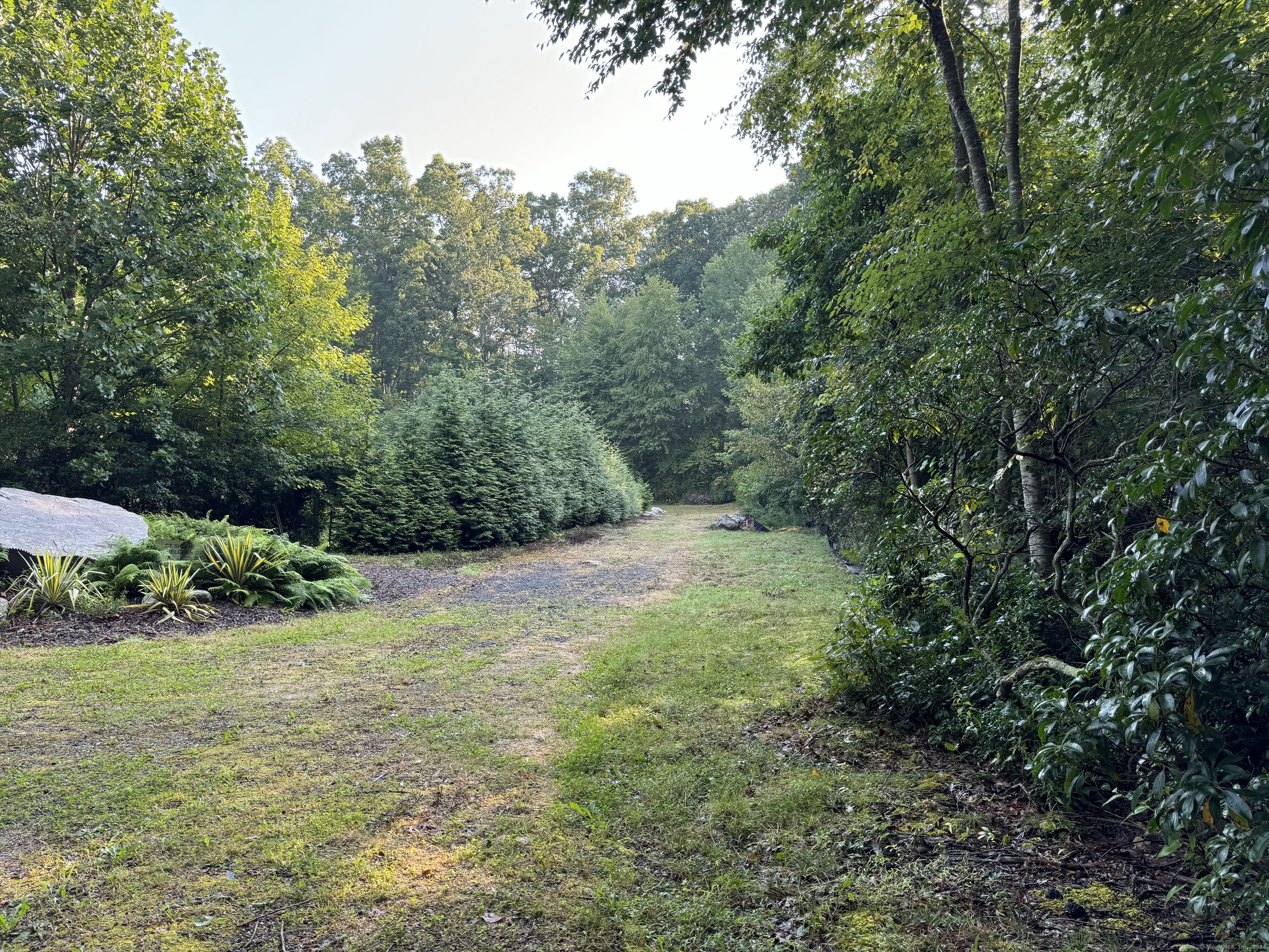 48 A Ironworks Road Clinton, CT 06413 - Photo 8 of 10 a view of a yard with a tree