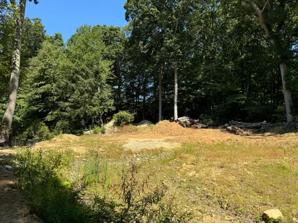 a view of a yard with trees