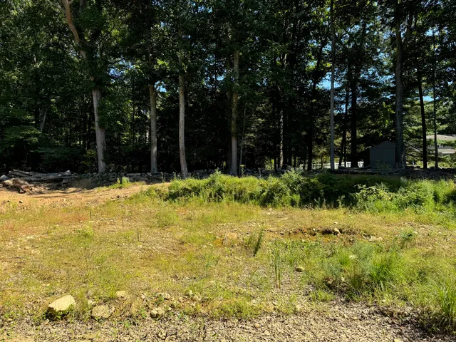 a view of outdoor space with a garden