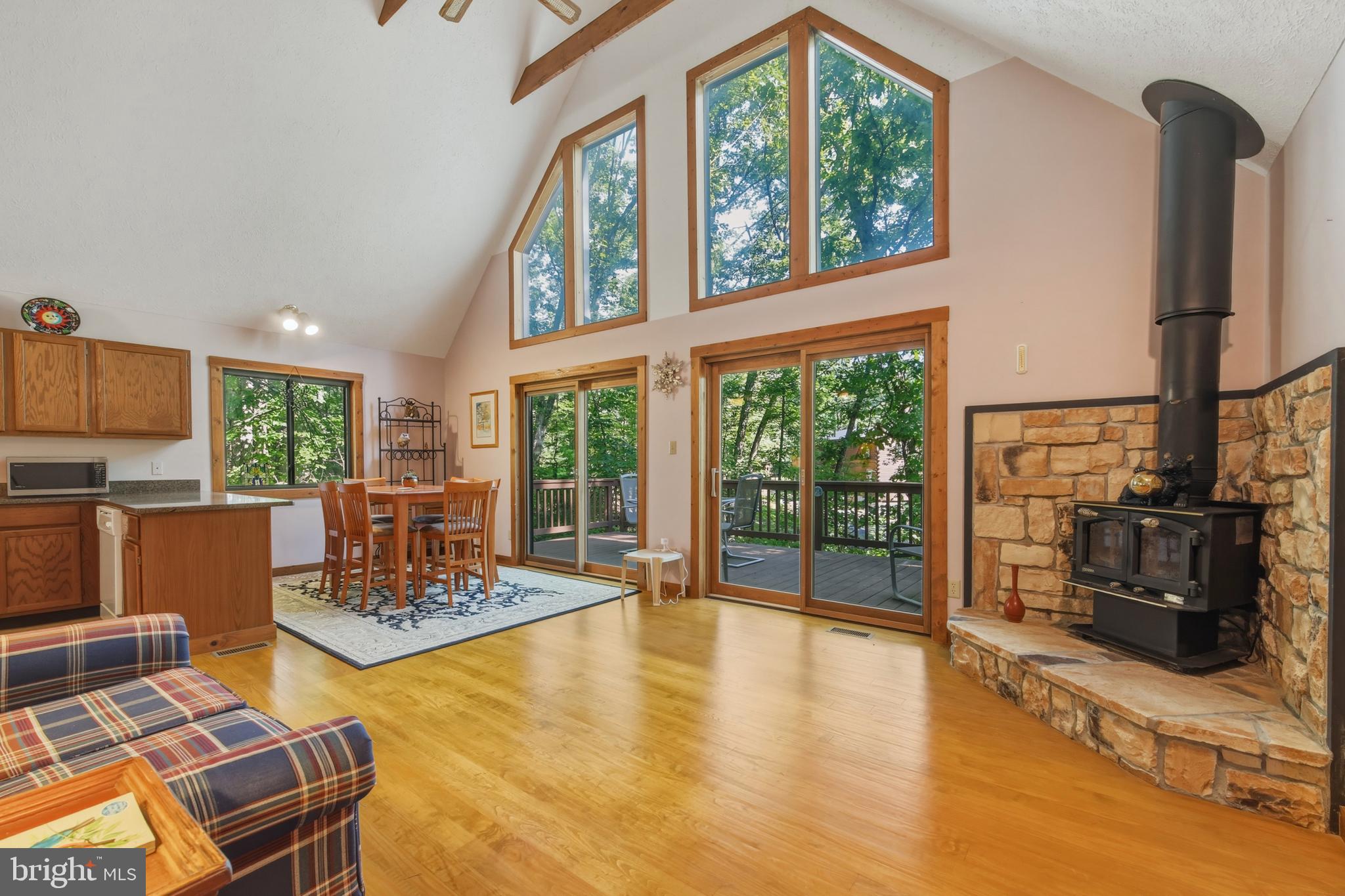 309 Locust Lane Mount Jackson, VA 22842 - Photo 14 of 57 Main Level - Living Room