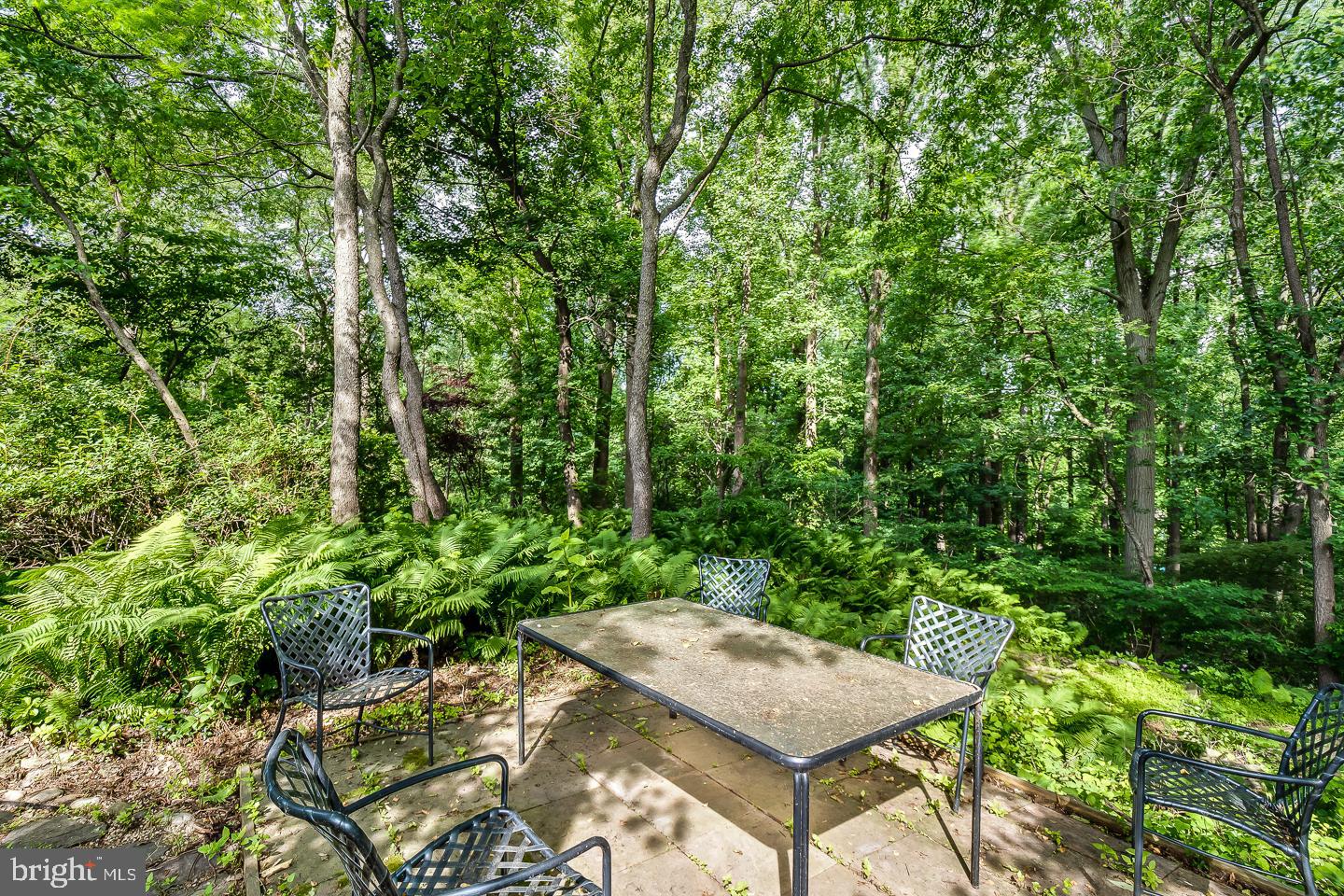 1739 Melmar Road Huntingdon Valley, PA 19006 - Photo 4 of 43