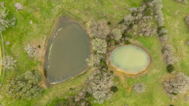 $2,500,000 | 103 County Road 103, Giddings, TX 78942