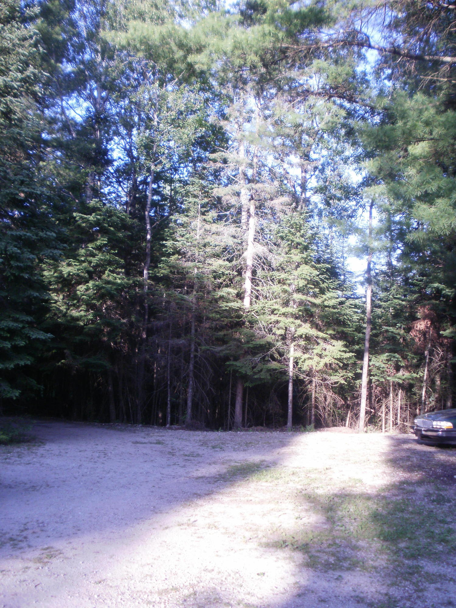 2657 Gaynor Road Cheboygan, MI 49721 - Photo 35 of 36 Gallery Image 35