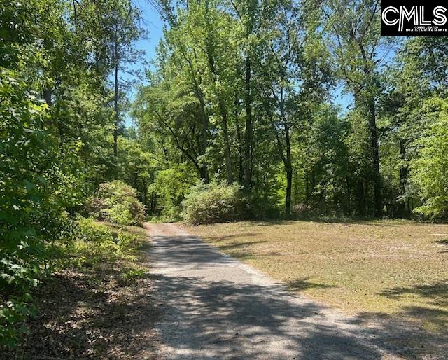 175 Geiger Lane Gaston, SC 29053 - Photo 5 of 14
