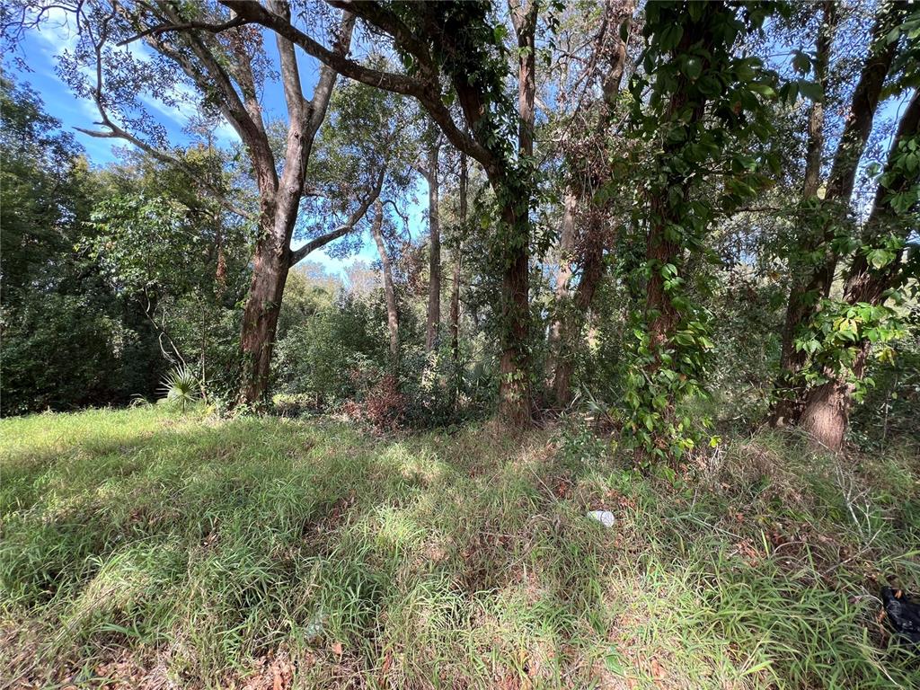 875 Ocoee Apopka Road Apopka, FL 32703 - Photo 3 of 4