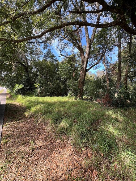875 Ocoee Apopka Road Apopka, FL 32703 - Photo 4 of 4