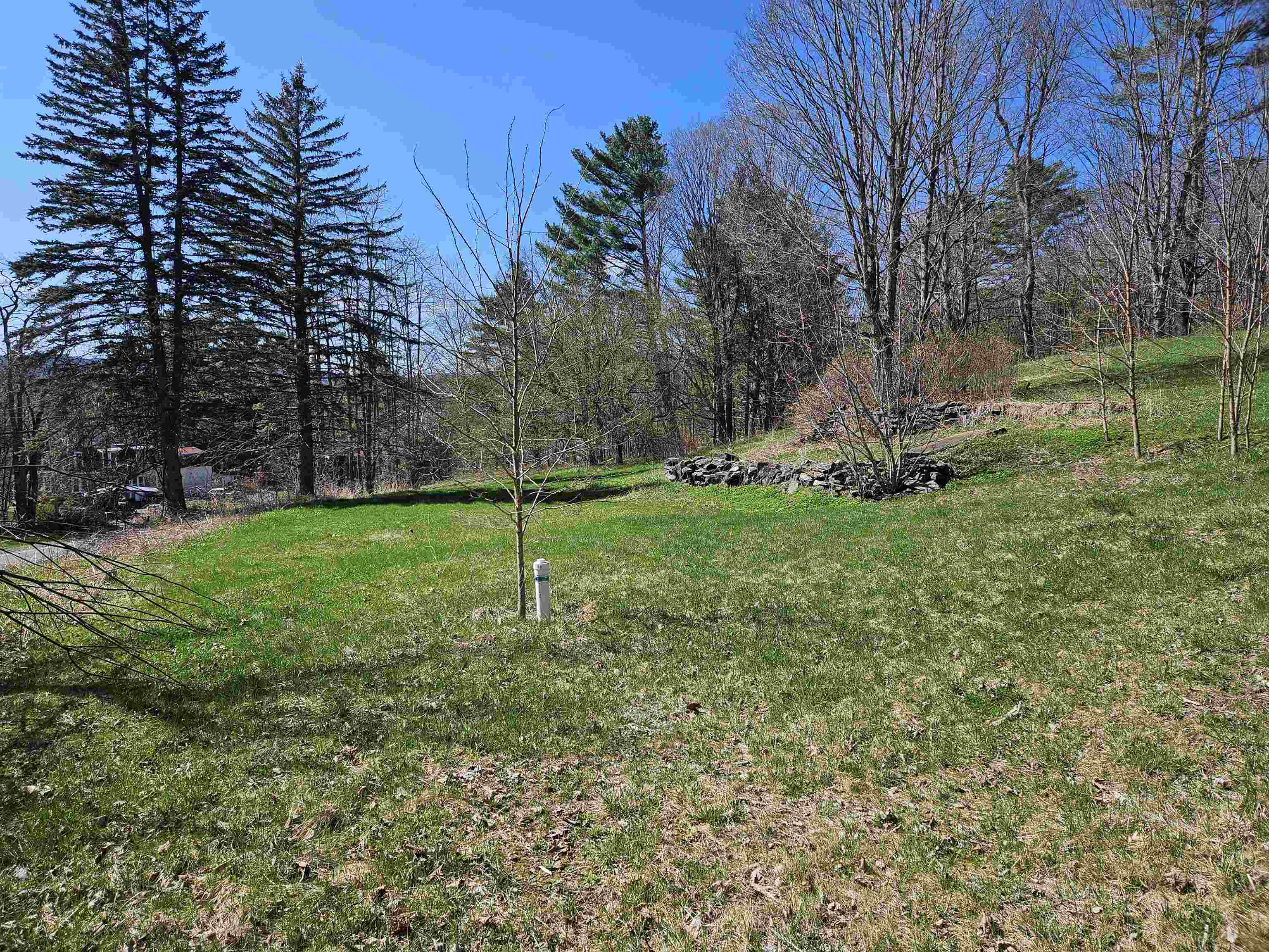 159 Highway 25 Piermont, NH 03779 - Photo 6 of 9
