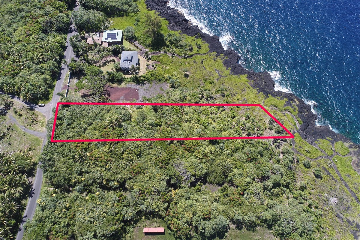 38 Government Beach Road Pahoa, HI 96778 - Photo 3 of 19 a view of yard