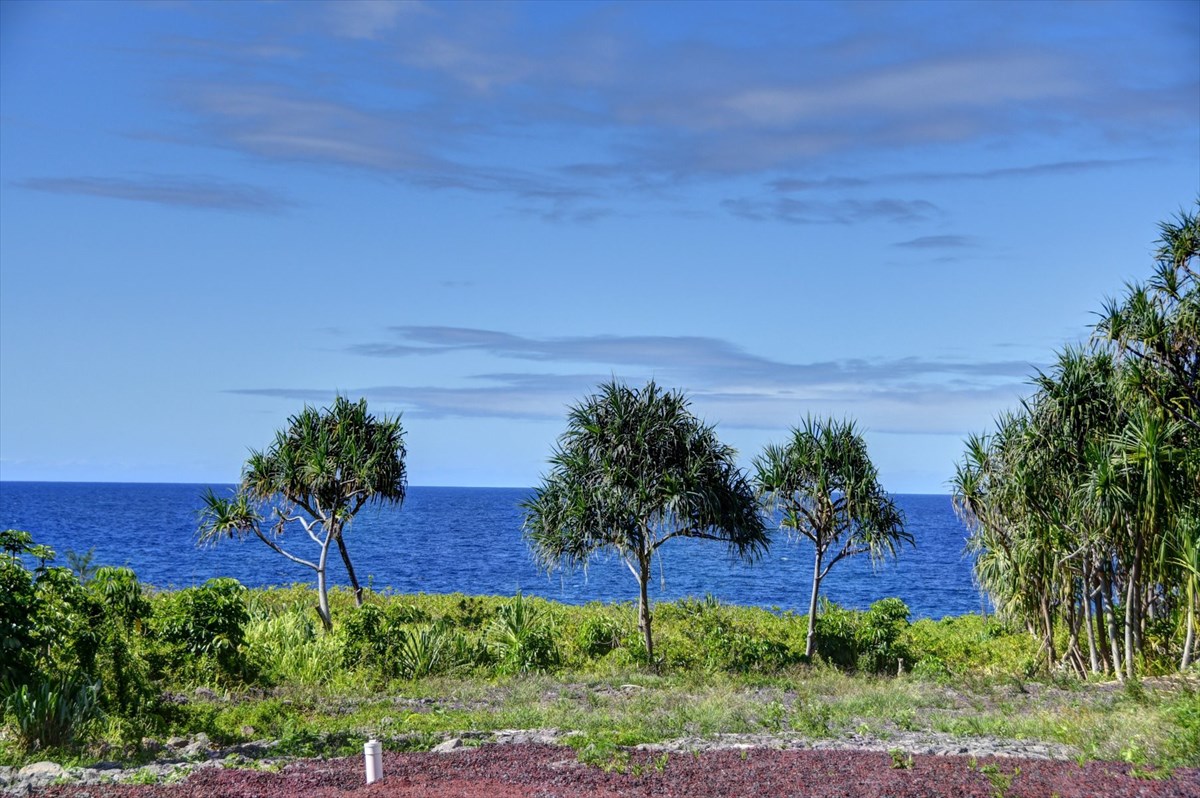 38 Government Beach Road Pahoa, HI 96778 - Photo 7 of 19 a view of a yard