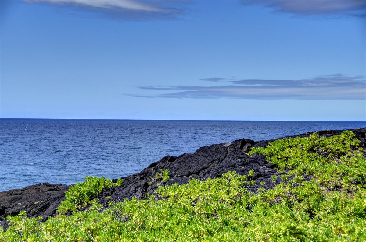 38 Government Beach Road Pahoa, HI 96778 - Photo 8 of 19 a view of a back yard
