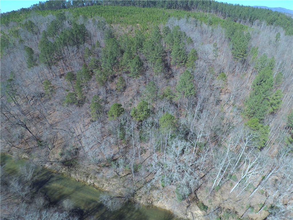 560 North Horseshoe Bridge Road Westminster, SC 29693 - Photo 15 of 23 Gallery Image 15
