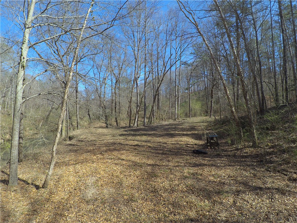 560 North Horseshoe Bridge Road Westminster, SC 29693 - Photo 17 of 23 Gallery Image 17