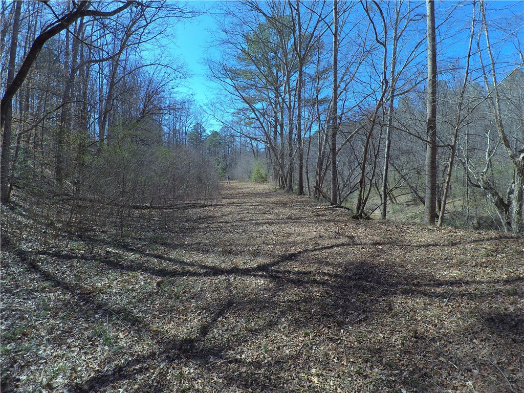 560 North Horseshoe Bridge Road Westminster, SC 29693 - Photo 6 of 23 Level, cleared land stretches the length of the pr