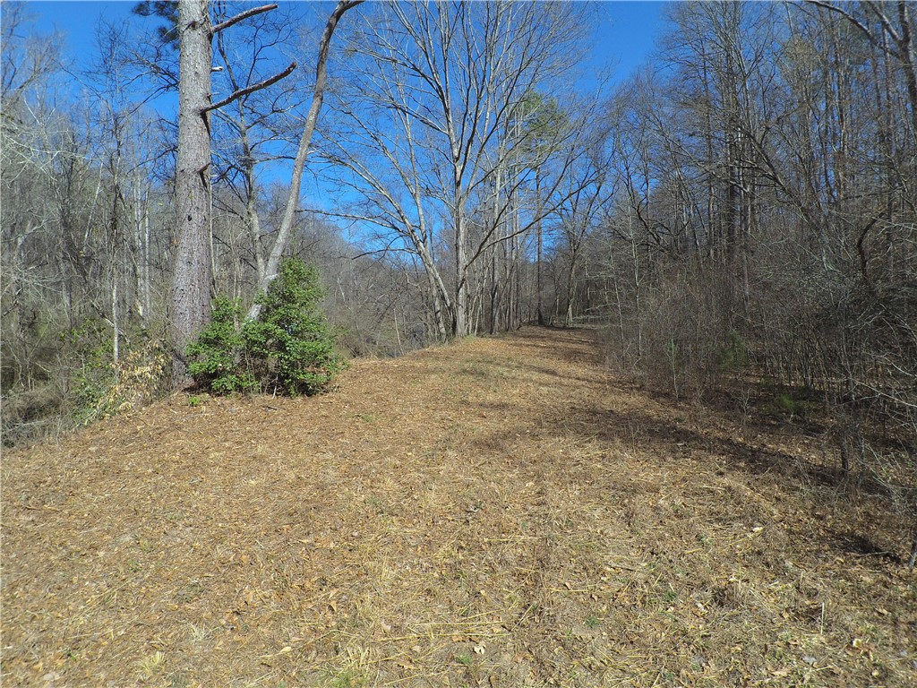560 North Horseshoe Bridge Road Westminster, SC 29693 - Photo 8 of 23 Gallery Image 8