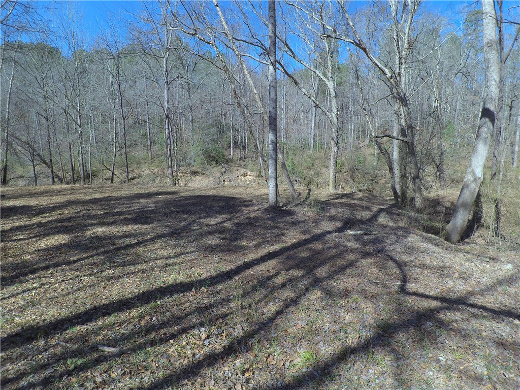 560 North Horseshoe Bridge Road Westminster, SC 29693 - Photo 10 of 23 Wider section of level land at the river front