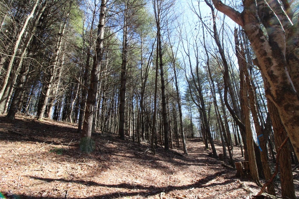 Tbd Ivanhoe Road, Unit 60A34 Fries, VA 24330 - Photo 27 of 45 Gallery Image 27