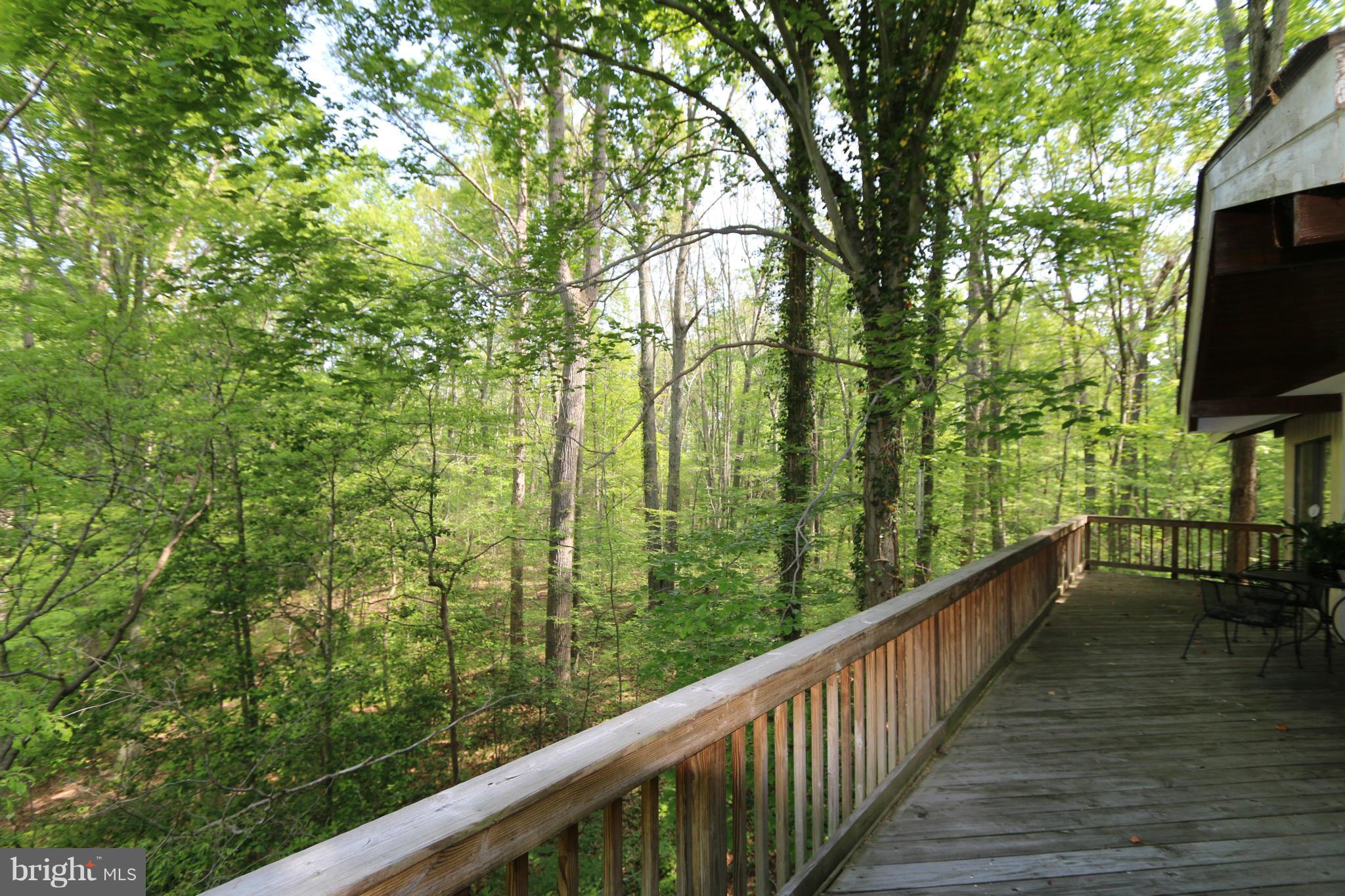 785 Brooke Road Fredericksburg, VA 22405 - Photo 16 of 24 Exterior (Rear)