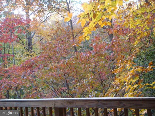 785 Brooke Road Fredericksburg, VA 22405 - Photo 23 of 24 View