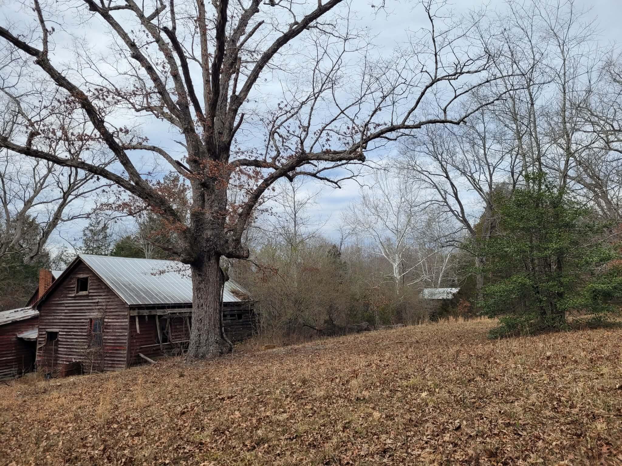 0 Maddox Road Gladys, VA 24554 - Photo 3 of 22 a view of a barn in the middle of a yard