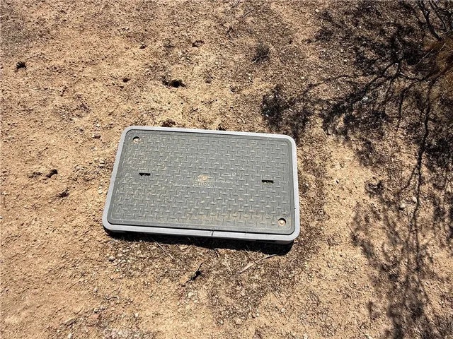 a view of a dry yard