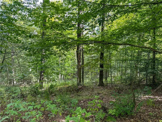 $35,900 | 8190 Billing Drive, Birdsall, NY 14804