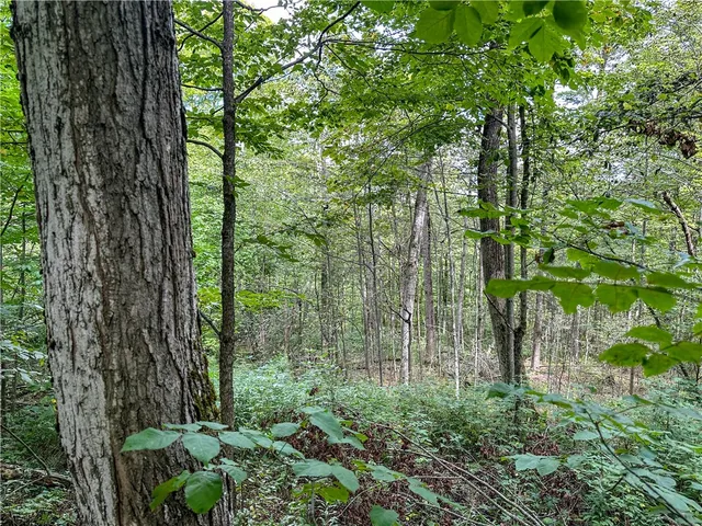 $35,900 | 8190 Billing Drive, Birdsall, NY 14804